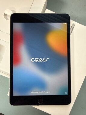 Apple iPad Mini 4 128GB Wi-Fi 7.9 in Space Gray Tablet USED ~ P14 12